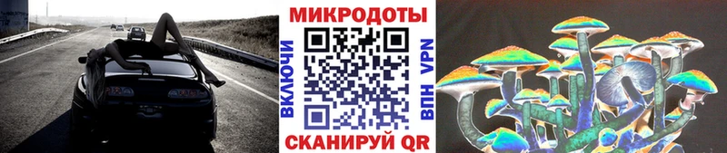 Галлюциногенные грибы GOLDEN TEACHER Почеп